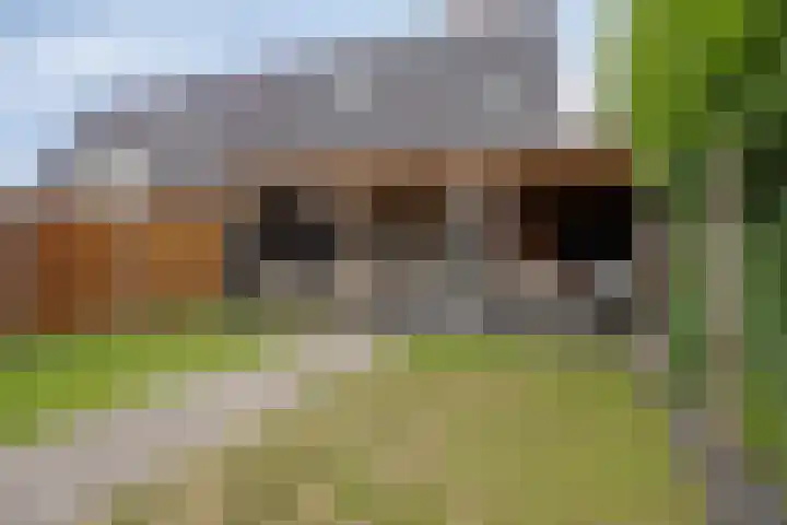 Grind 13 Deest thumbnail 40
