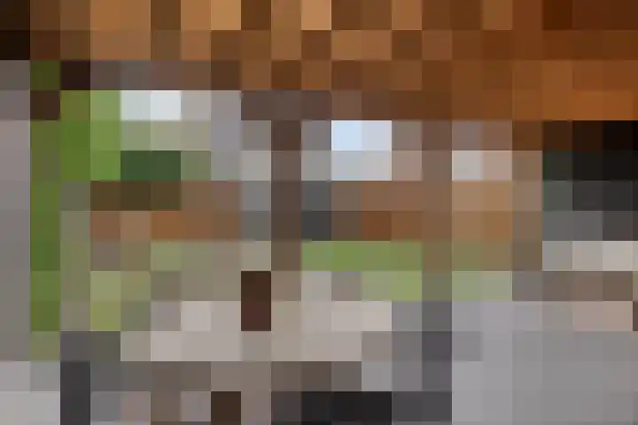 Grind 13 Deest thumbnail 43