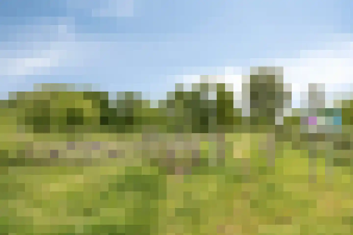 Grindbank 13 Swalmen thumbnail 31
