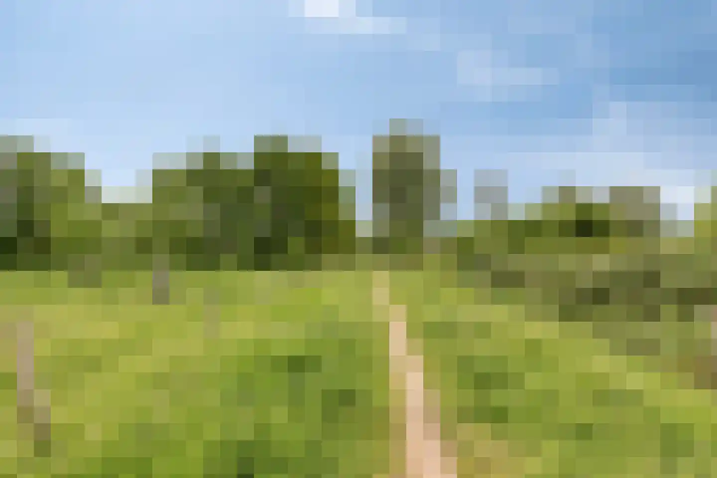 Grindbank 13 Swalmen thumbnail 32