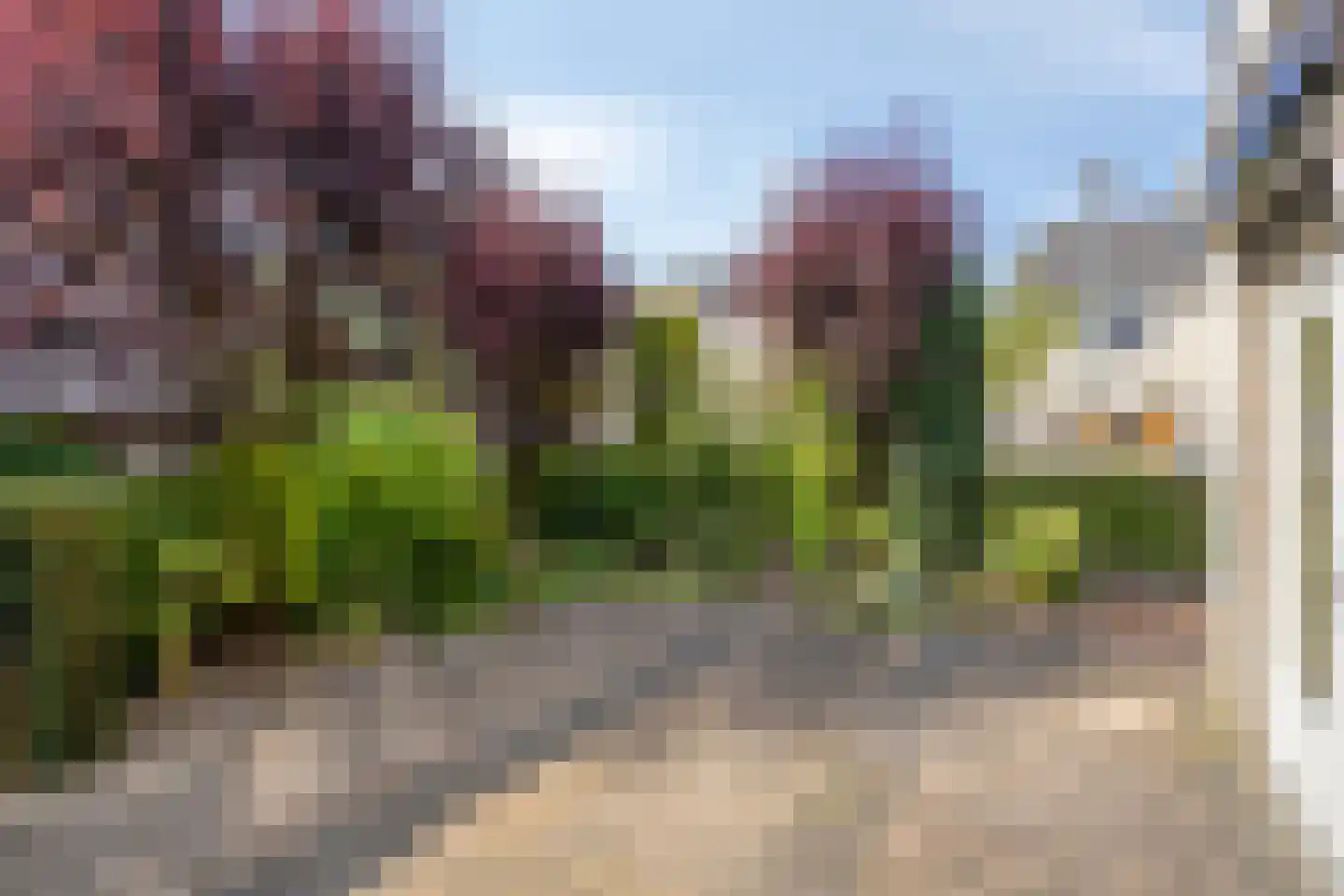 Grindbank 24 Swalmen thumbnail 21