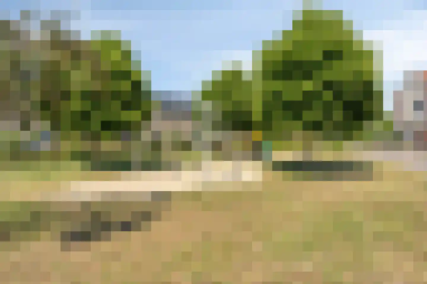 Grindbank 24 Swalmen thumbnail 29