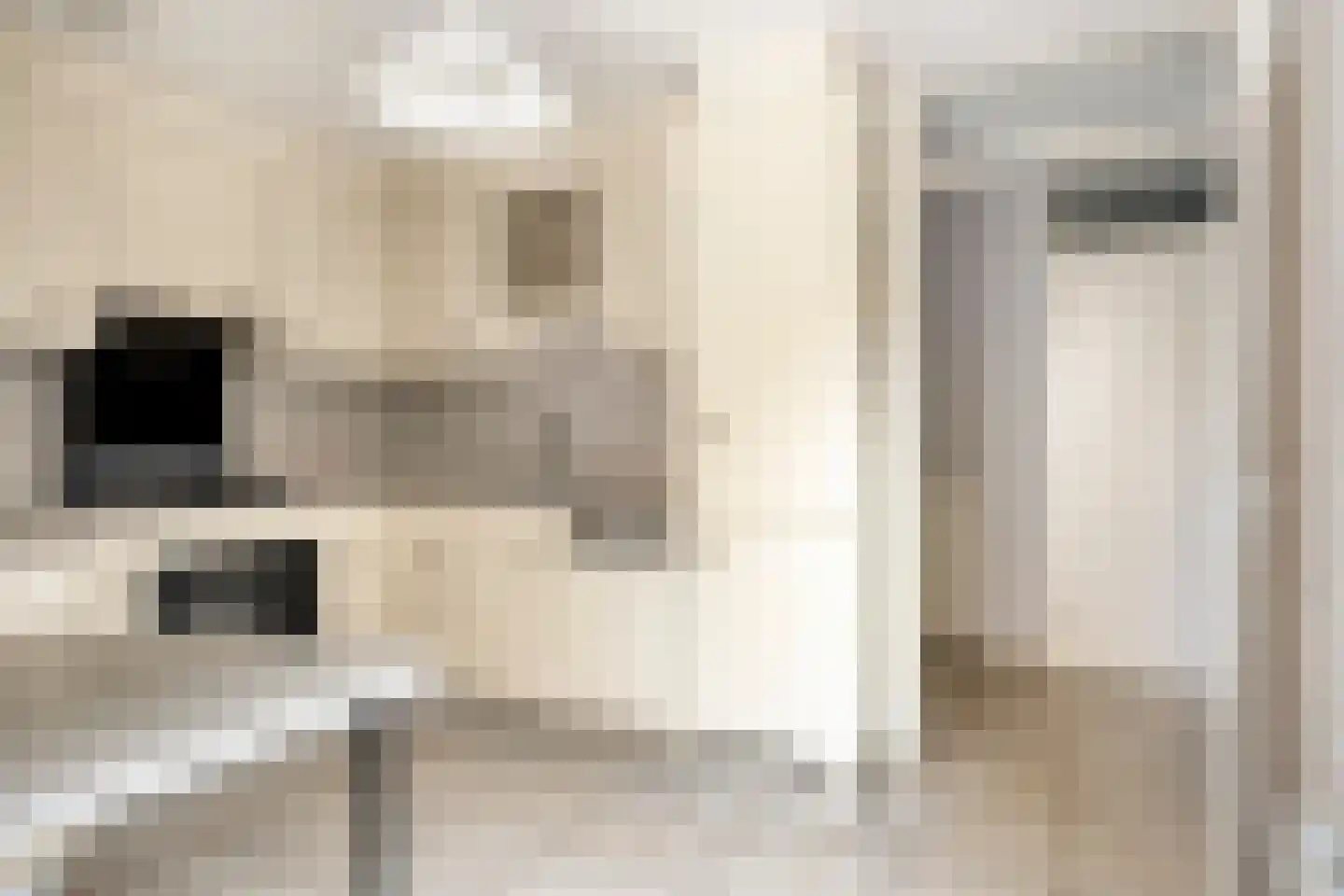 Grindbank 24 Swalmen thumbnail 8