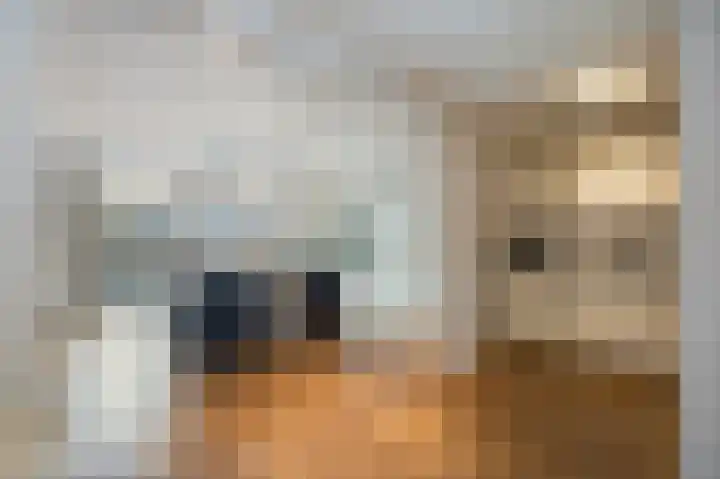 Grindbank 29 Swalmen thumbnail 13