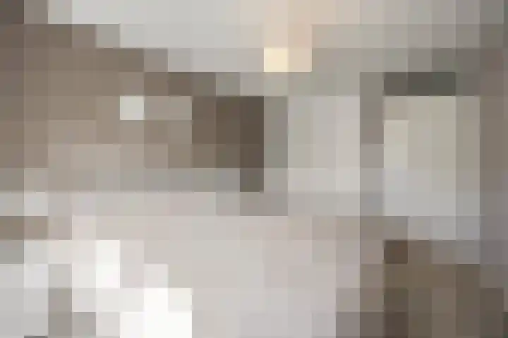 Grindbank 29 Swalmen thumbnail 19