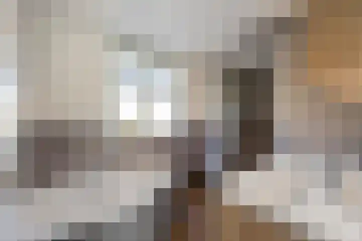 Grindbank 29 Swalmen thumbnail 22