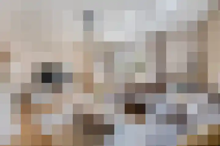 Grindbank 29 Swalmen thumbnail 5