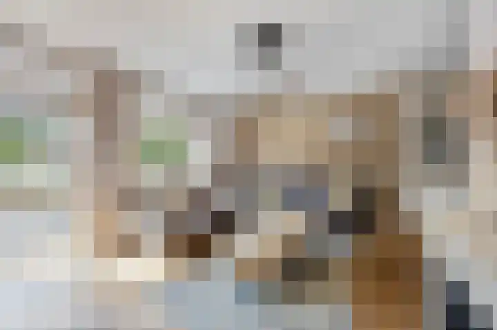 Grindbank 29 Swalmen thumbnail 6