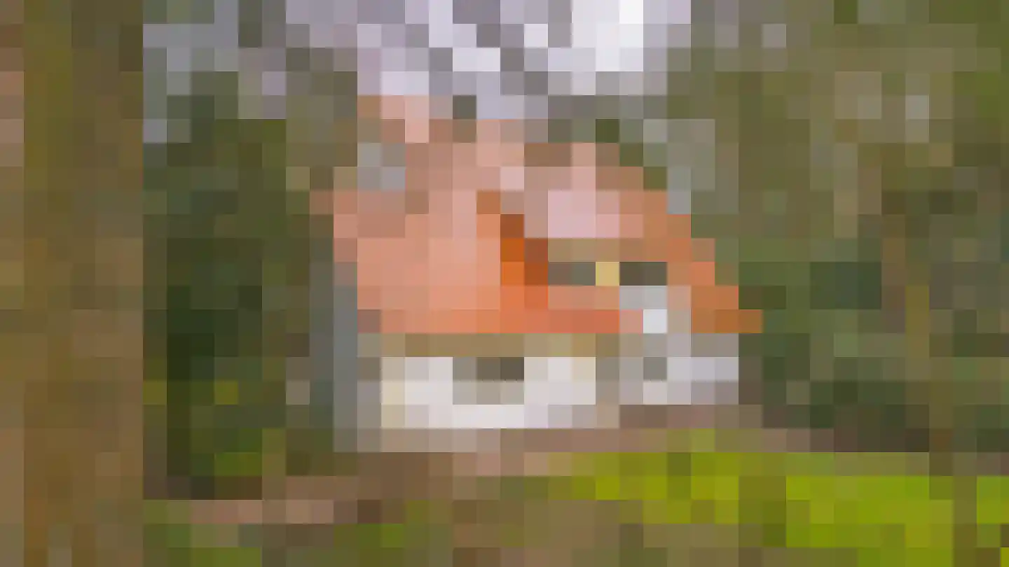 Grindberglaan 12 Apeldoorn thumbnail 38