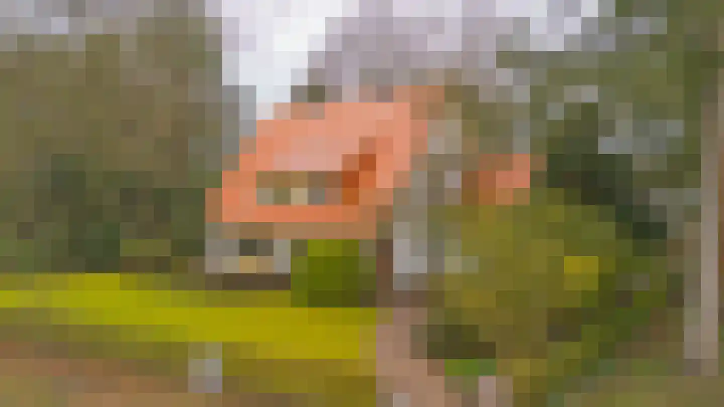 Grindberglaan 12 Apeldoorn thumbnail 39