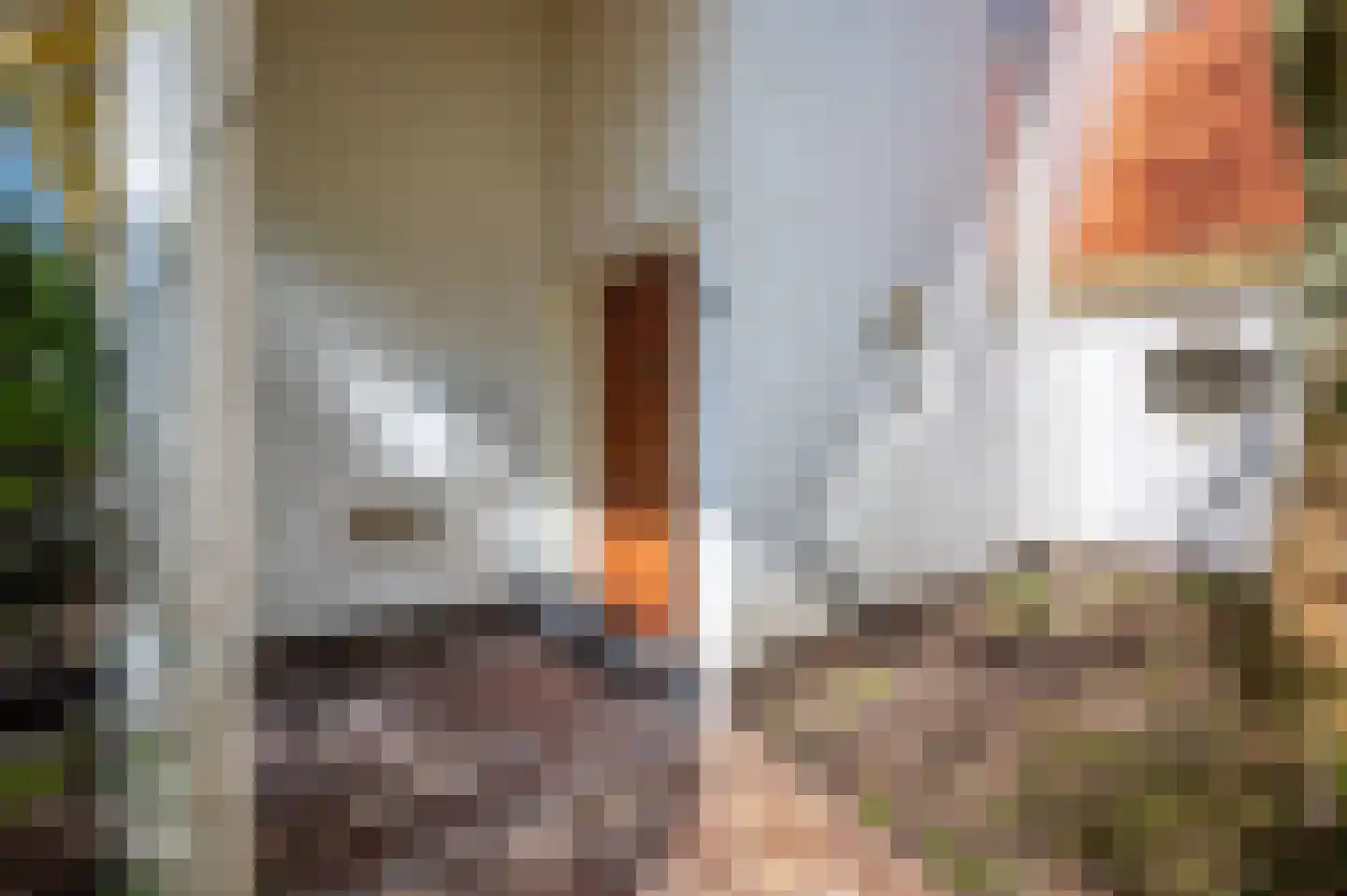 Grindberglaan 12 Apeldoorn thumbnail 40