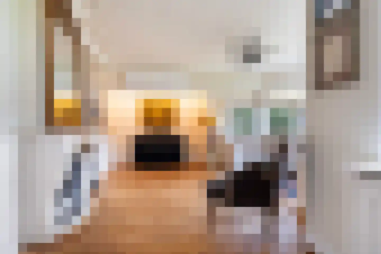 Grindberglaan 2 Apeldoorn thumbnail 15