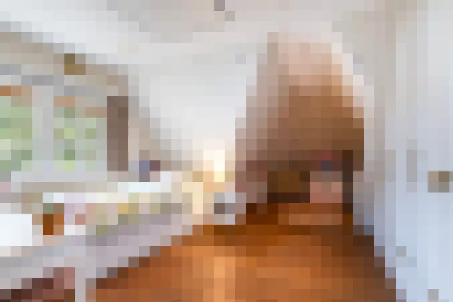 Grindberglaan 2 Apeldoorn thumbnail 34