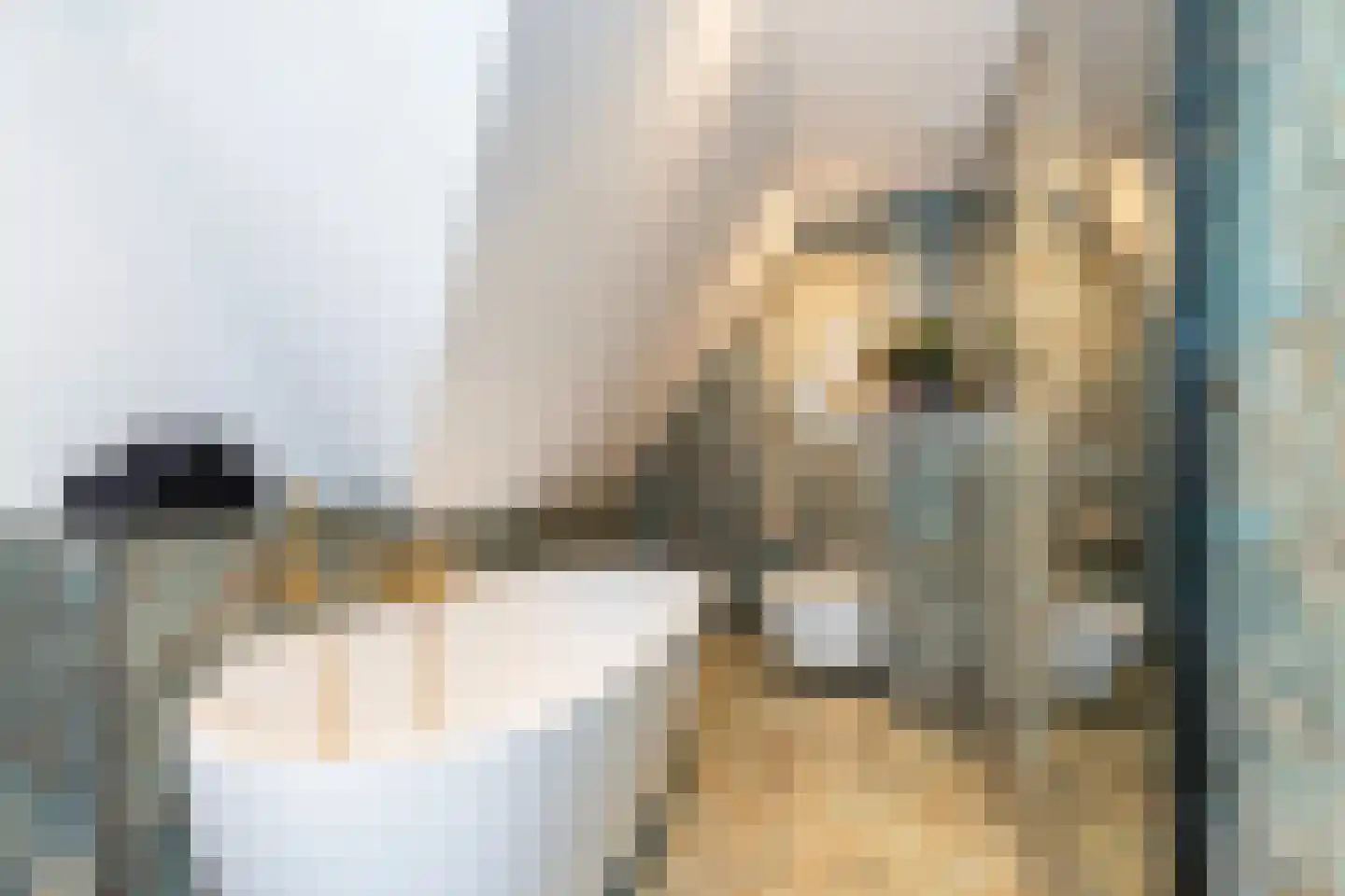 Grindberglaan 2 Apeldoorn thumbnail 35