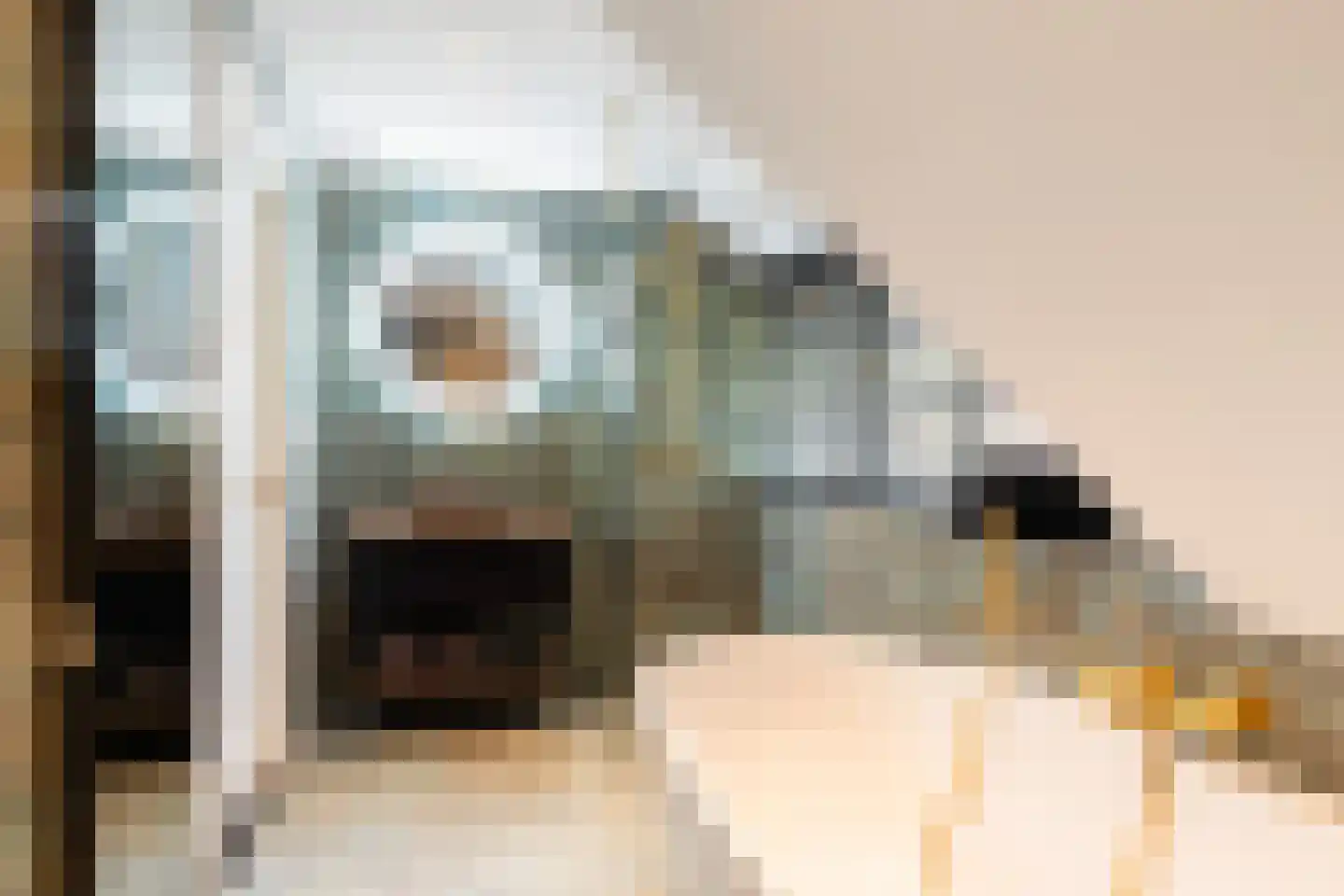 Grindberglaan 2 Apeldoorn thumbnail 36