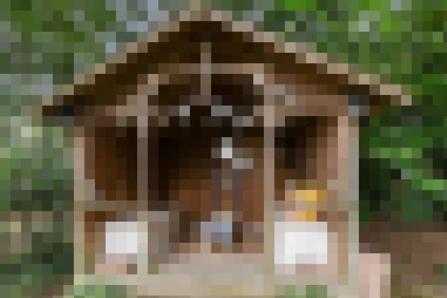 Grindberglaan 2 Apeldoorn thumbnail 42
