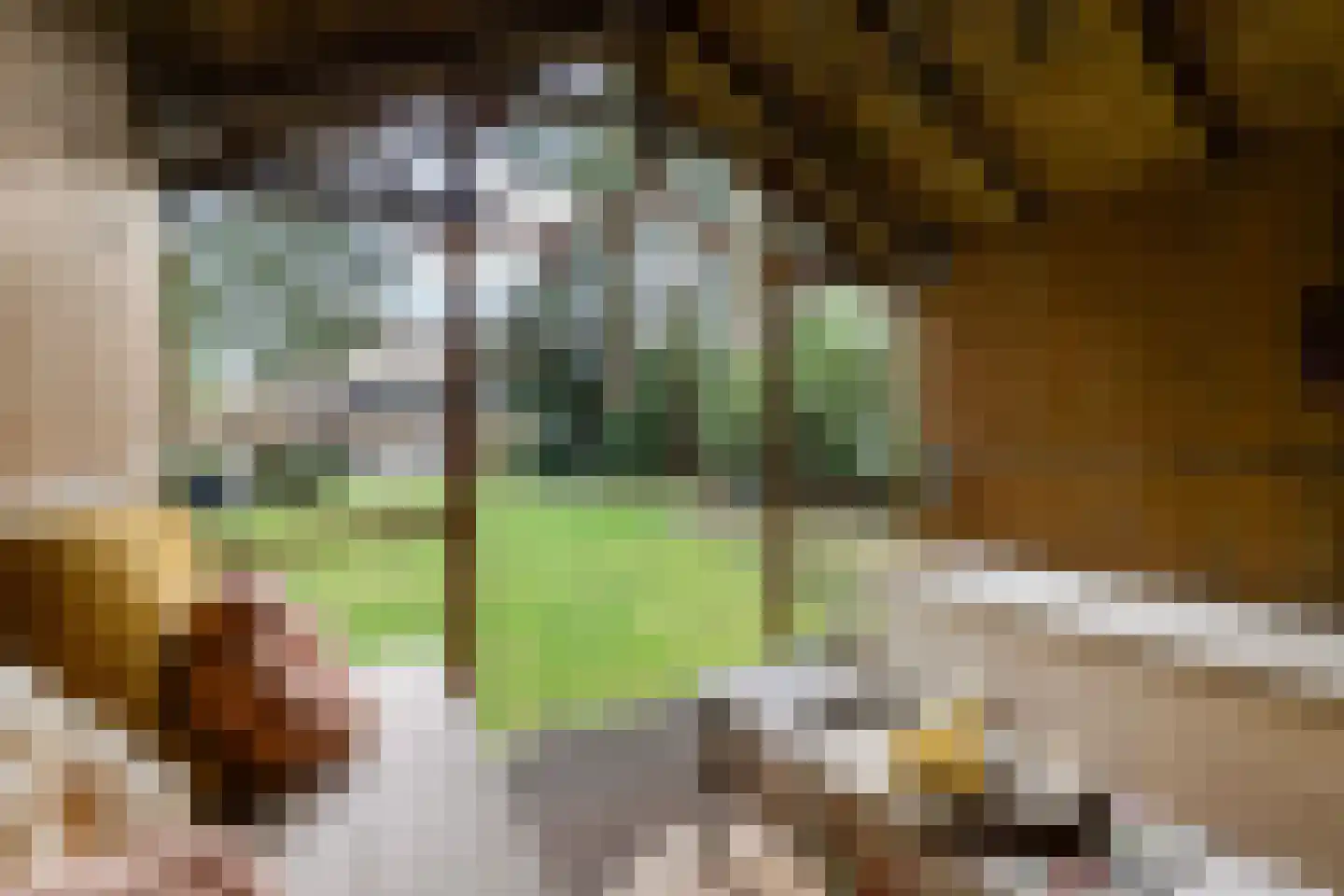 Grindberglaan 2 Apeldoorn thumbnail 43