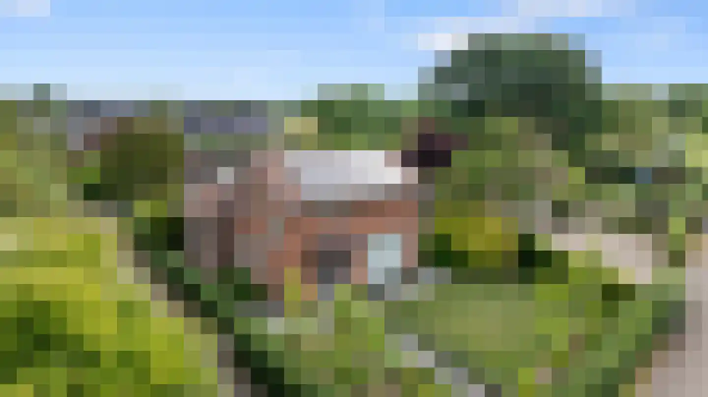 Grindgat 13 Angeren