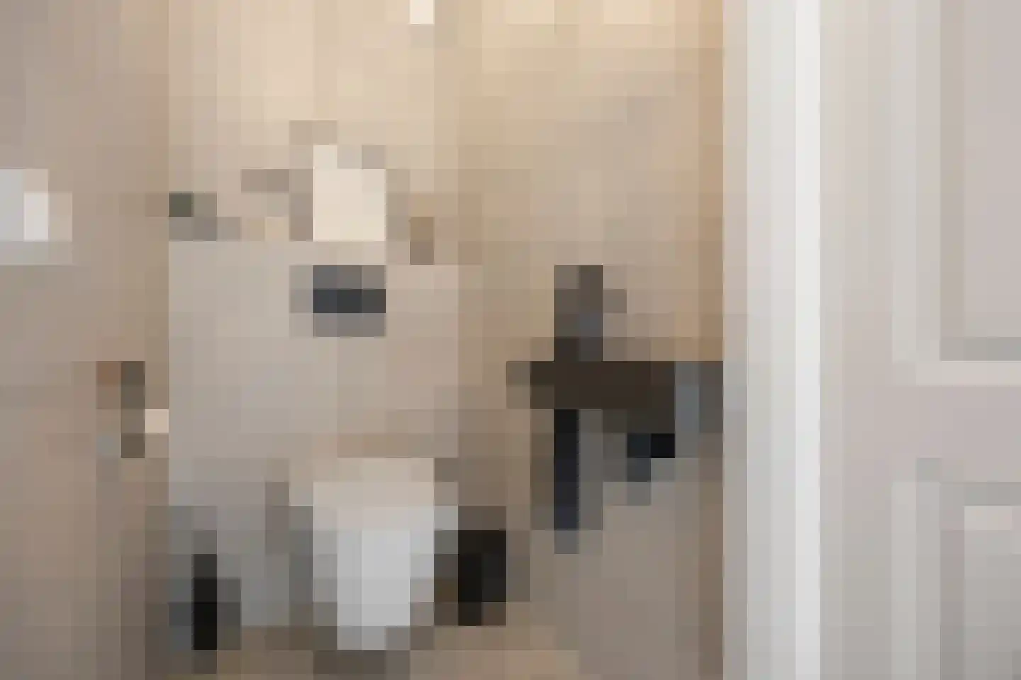 Grindgat 13 Angeren thumbnail 11