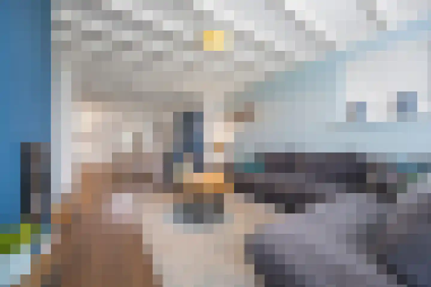 Grindgat 13 Angeren thumbnail 15