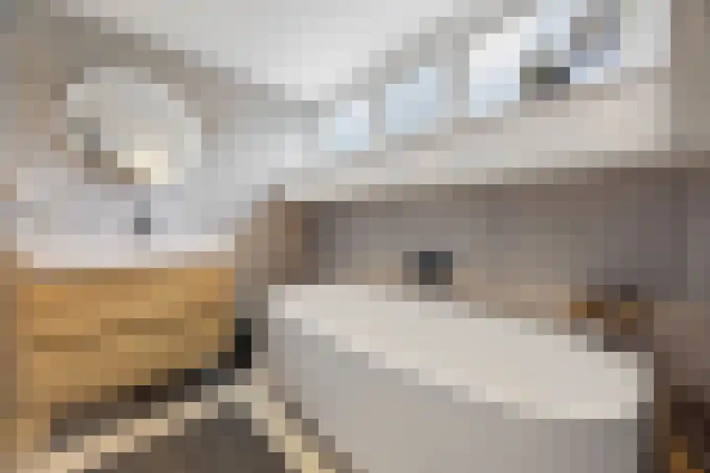 Grindgat 13 Angeren thumbnail 35