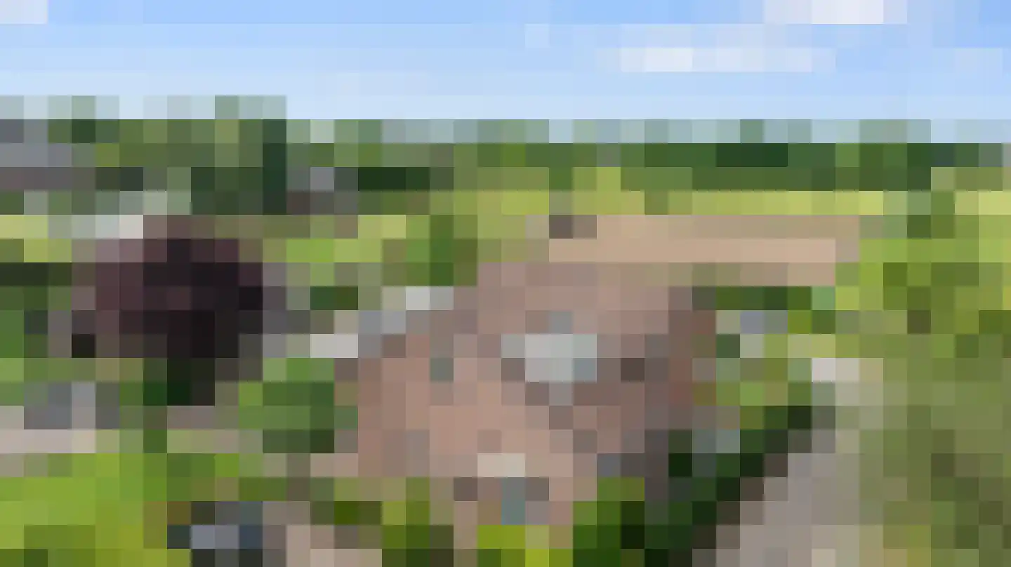 Grindgat 13 Angeren thumbnail 36