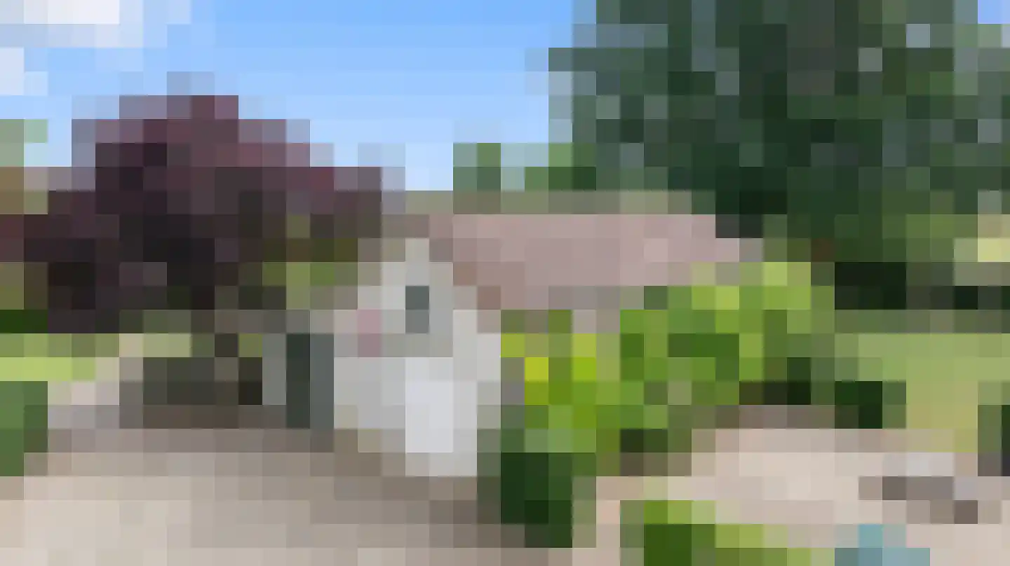 Grindgat 13 Angeren thumbnail 46