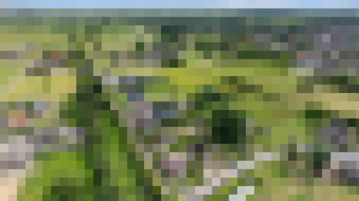 Grindgat 13 Angeren thumbnail 52