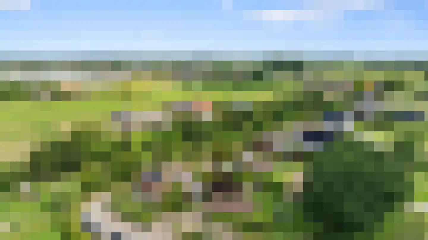 Grindgat 13 Angeren thumbnail 53