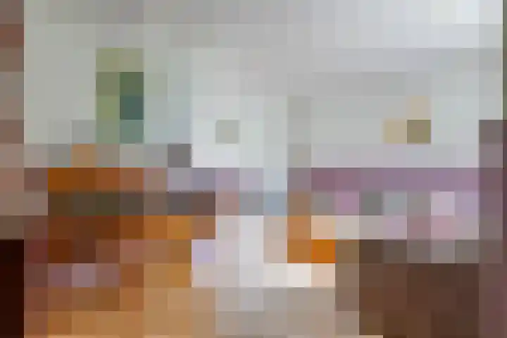 Grindweg 1 Ellewoutsdijk thumbnail 10