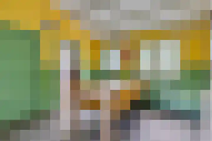 Grindweg 1 Ellewoutsdijk thumbnail 12