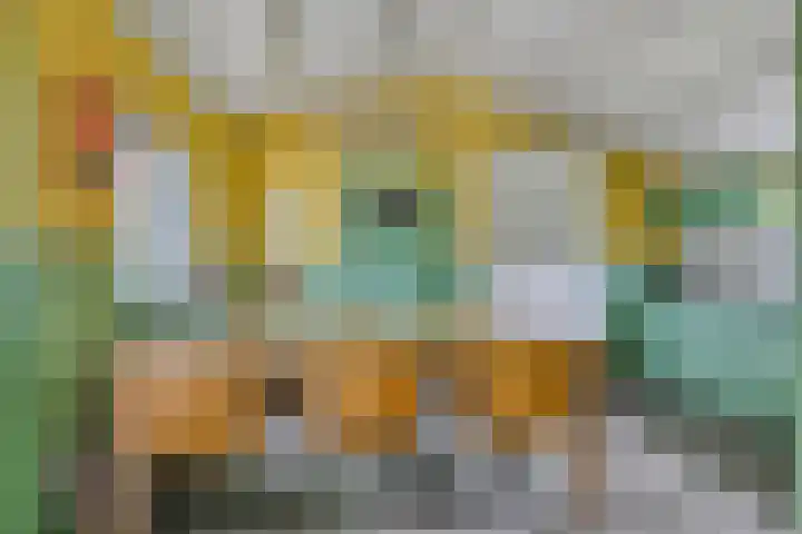 Grindweg 1 Ellewoutsdijk thumbnail 13