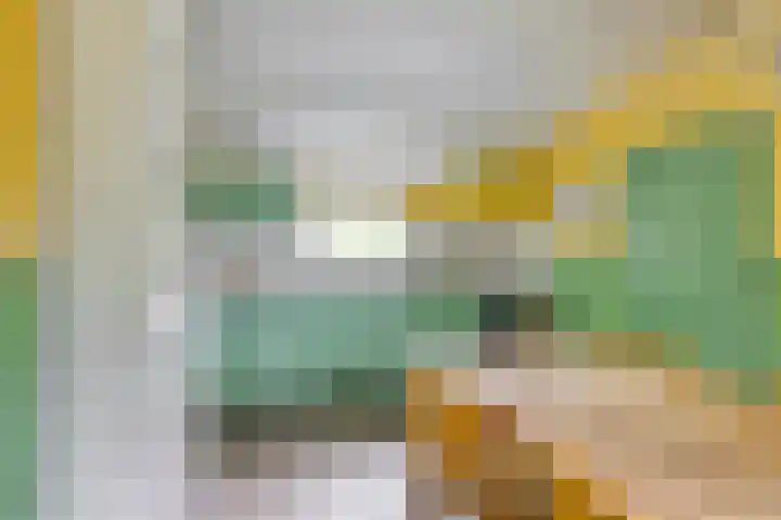 Grindweg 1 Ellewoutsdijk thumbnail 14