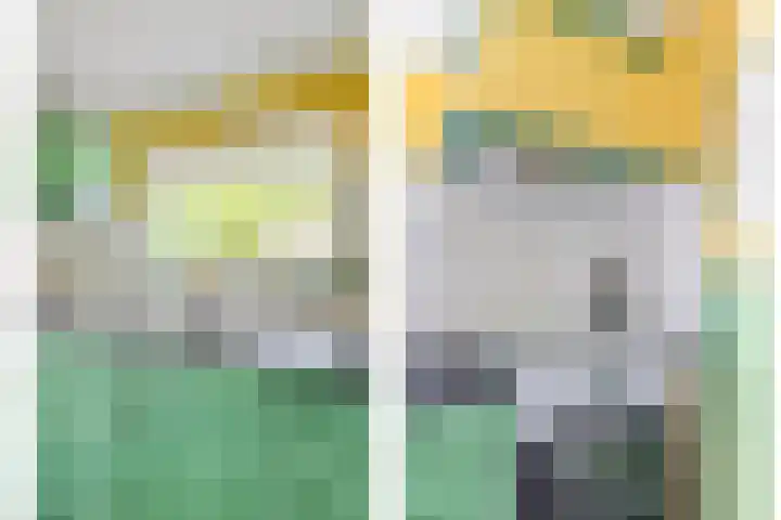 Grindweg 1 Ellewoutsdijk thumbnail 15