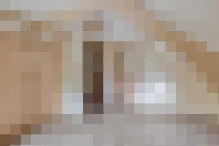 Grindweg 1 Ellewoutsdijk thumbnail 22