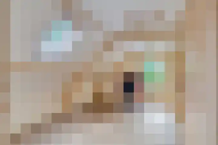 Grindweg 1 Ellewoutsdijk thumbnail 23