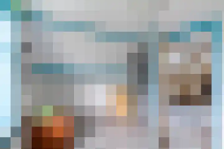 Grindweg 1 Ellewoutsdijk thumbnail 24