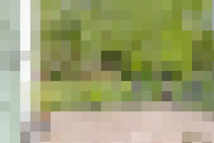 Grindweg 1 Ellewoutsdijk thumbnail 26