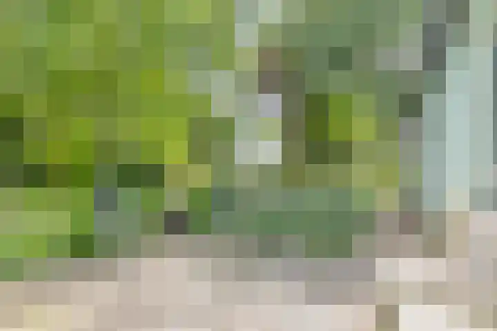 Grindweg 1 Ellewoutsdijk thumbnail 27