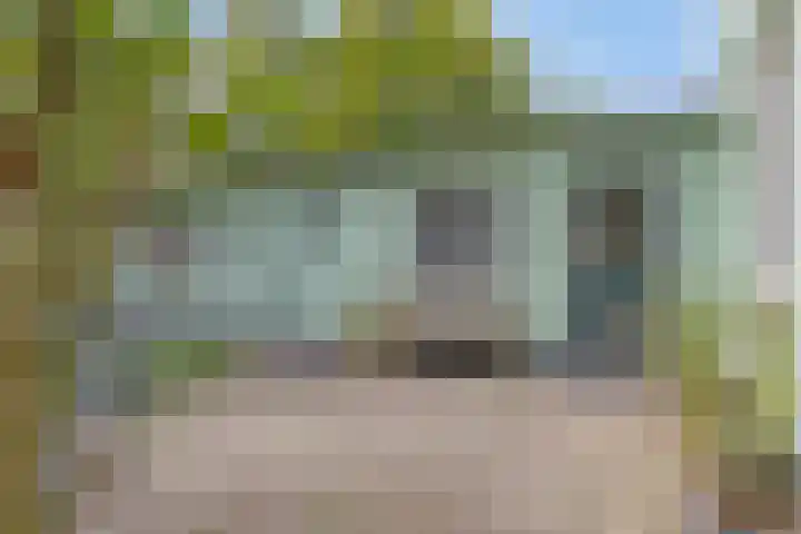 Grindweg 1 Ellewoutsdijk thumbnail 28
