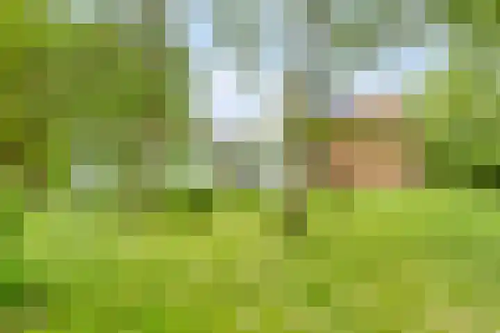 Grindweg 1 Ellewoutsdijk thumbnail 30