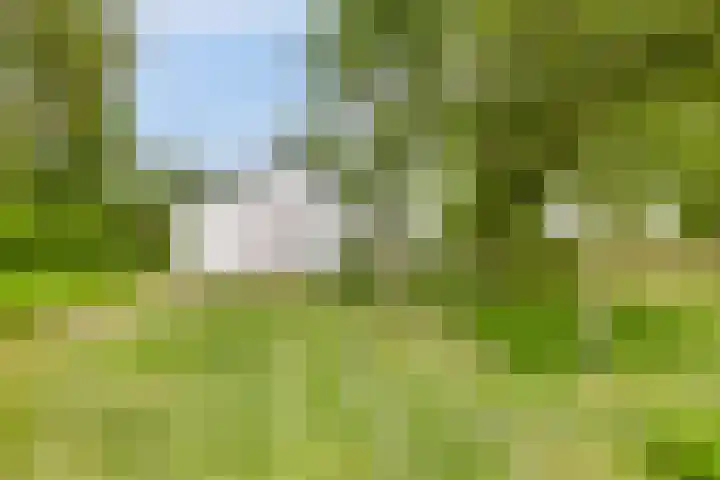 Grindweg 1 Ellewoutsdijk thumbnail 32