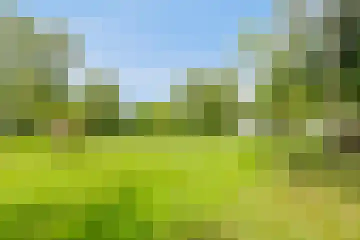 Grindweg 1 Ellewoutsdijk thumbnail 33