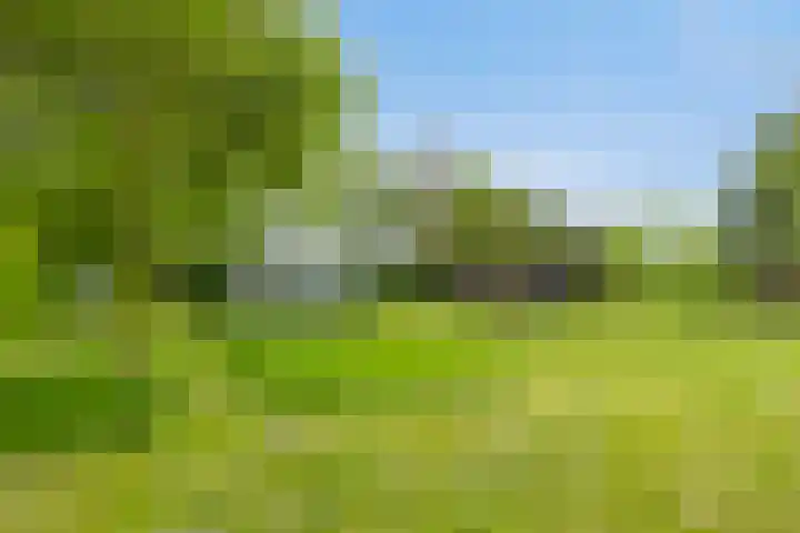 Grindweg 1 Ellewoutsdijk thumbnail 34