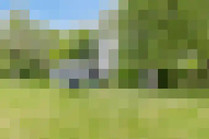 Grindweg 1 Ellewoutsdijk thumbnail 35