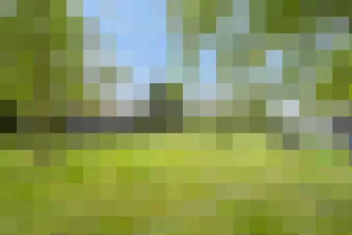 Grindweg 1 Ellewoutsdijk thumbnail 36