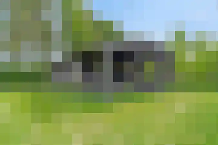 Grindweg 1 Ellewoutsdijk thumbnail 37