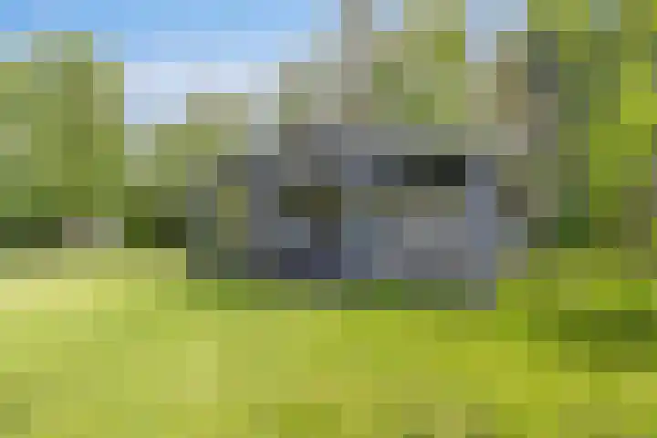Grindweg 1 Ellewoutsdijk thumbnail 38