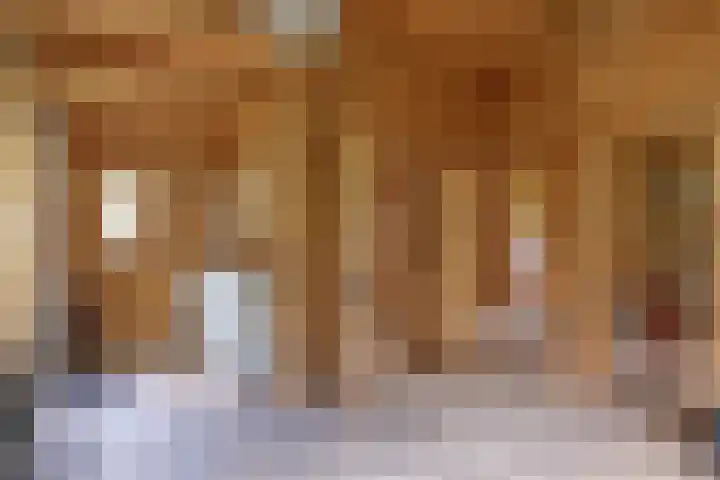 Grindweg 1 Ellewoutsdijk thumbnail 39