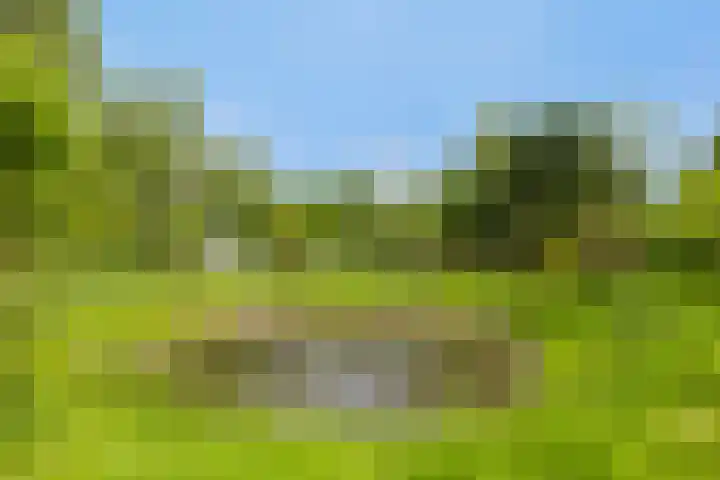 Grindweg 1 Ellewoutsdijk thumbnail 4